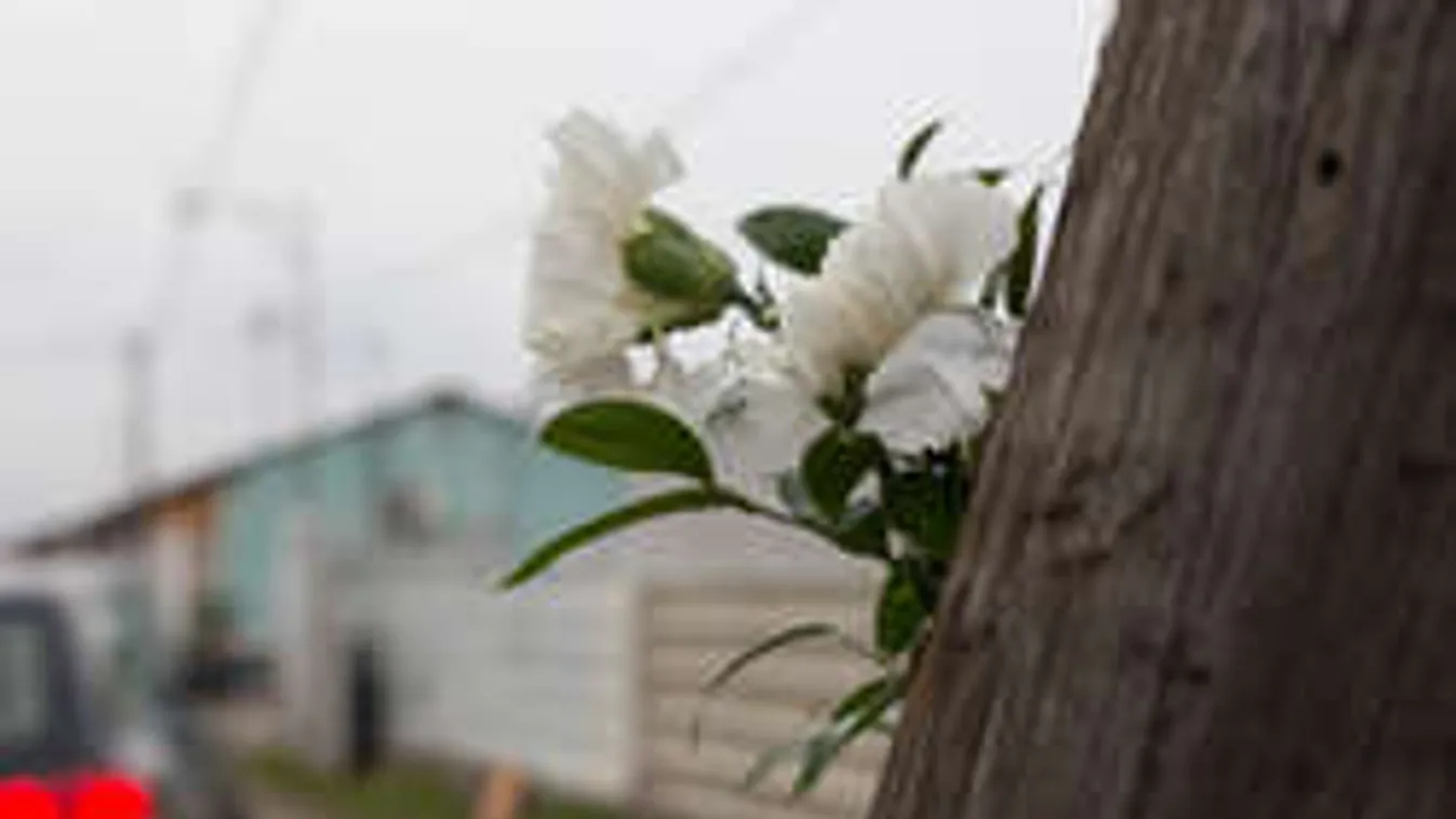 BMW-s késelés: Jóshoz fordult anyagi problémái miatt az áldozat korábban