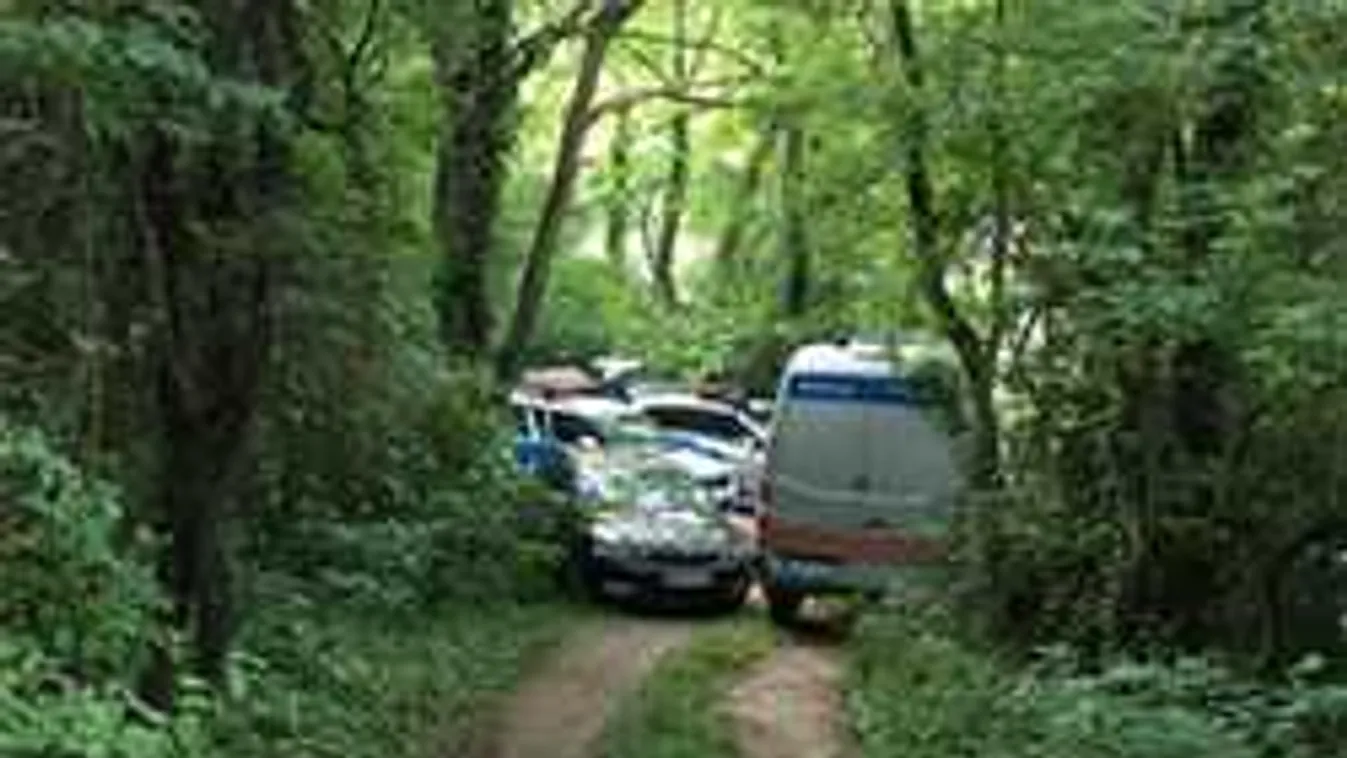 Hatalmas erőkkel keresnek egy szökött gyilkost a biatorbágyi Pecatónál