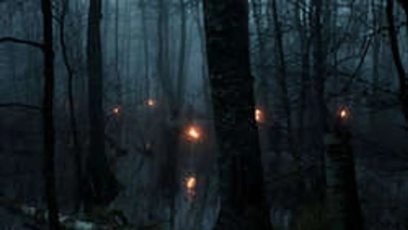 Hátborzongató lidércfényt fotózott egy erdei kiránduló