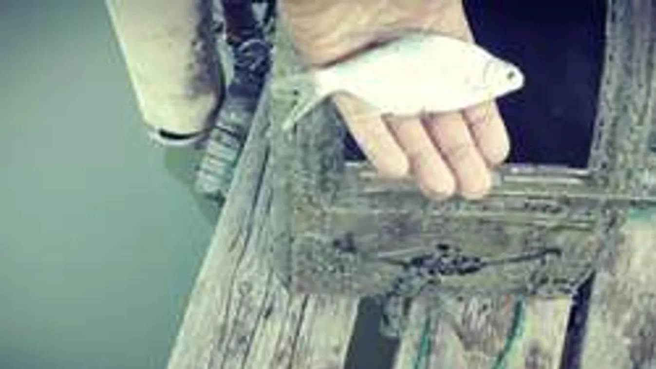 Elképesztő dolgokat rejt a Duna: megtisztítják a fiatal srácok