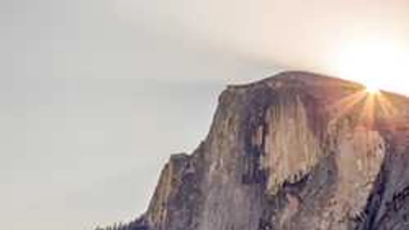 Vér folyt a kiránduláson, nem mindenki élte túl a kalandot