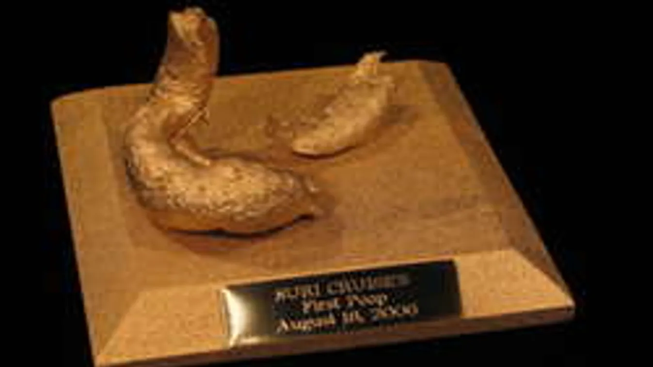 Leesett köröm, használt gatya... Sztárereklyék, amikért milliókat adtak