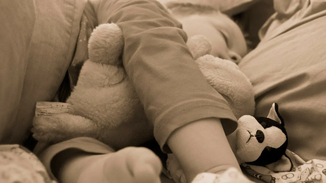 Szívmelengető: eltűnt a tündéri váci kisfiú nyunyókája, így segítenek neki