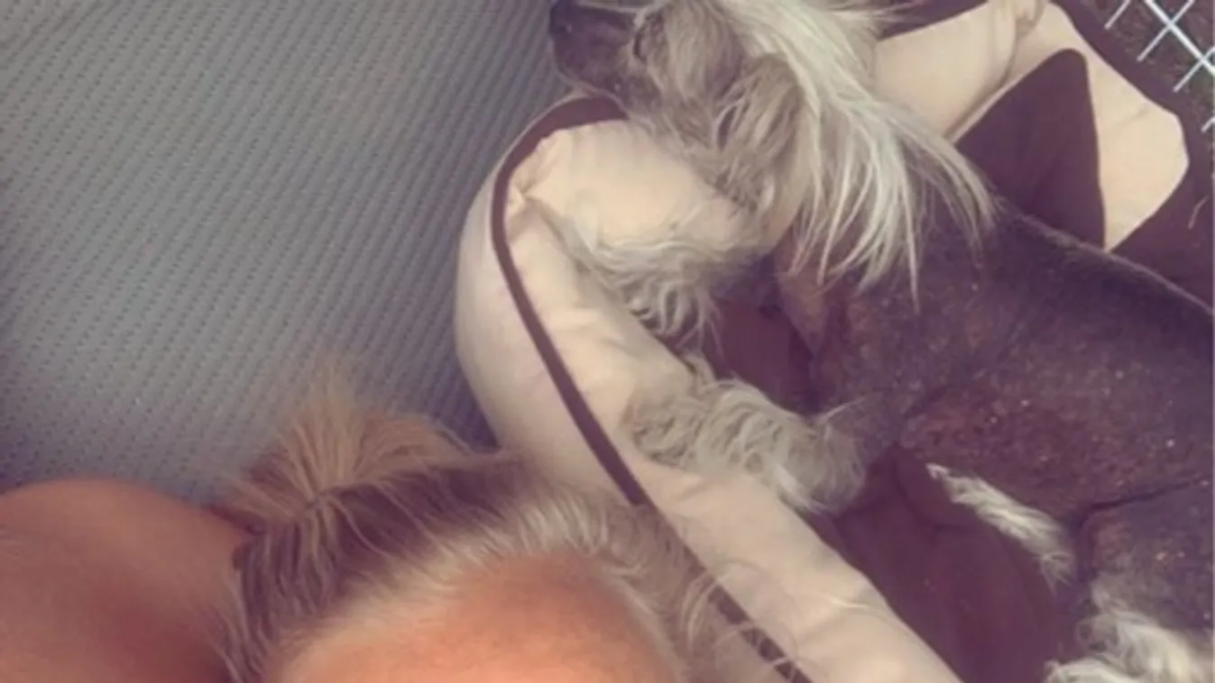 Műteni kellett Fresh Andit, így érzi magát