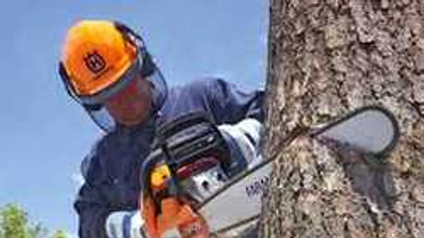 Megcsúszott a láncfűrész, véres favágást élt túl a kötcsei férfi