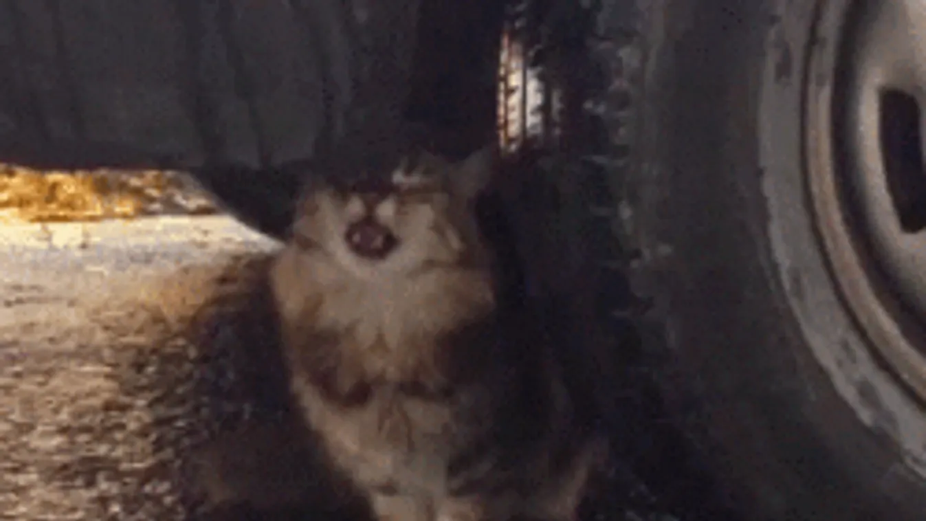 Minden a nyakunkba szakad: besárgult az ország, fagyos esővel jön a durva vihar