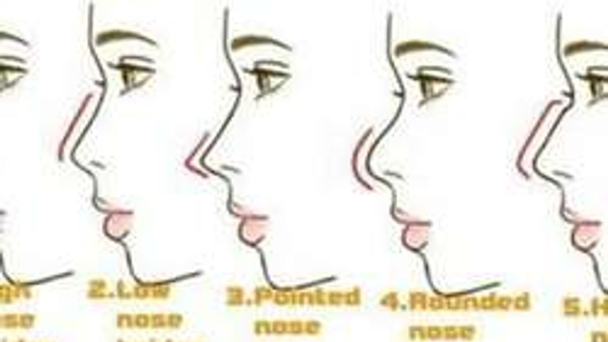 Почему нос назвали носом. Разные формы носа. Типы Носов. Формы Носов. Типы носа.