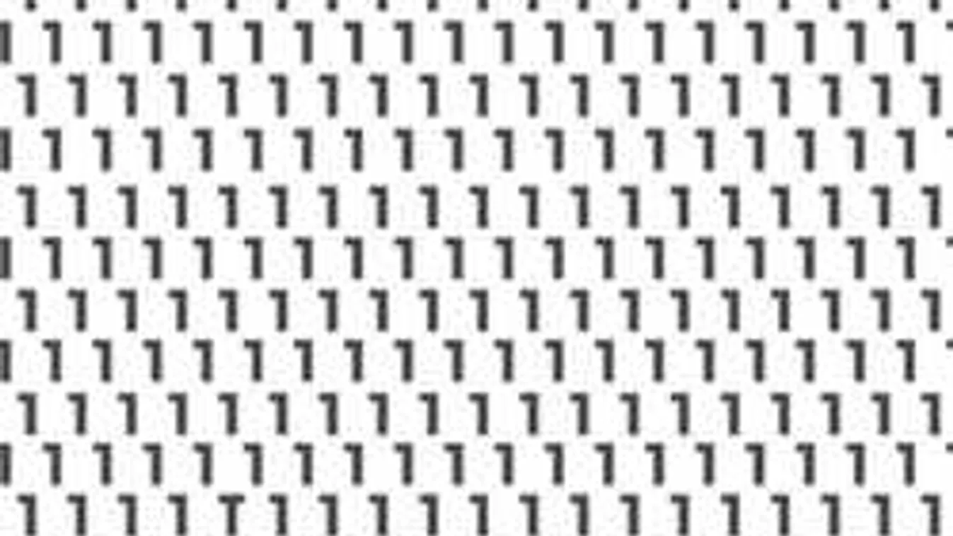 Most kiderül, sasszemed van-e: ez a rejtvény kőkemény kihívás!