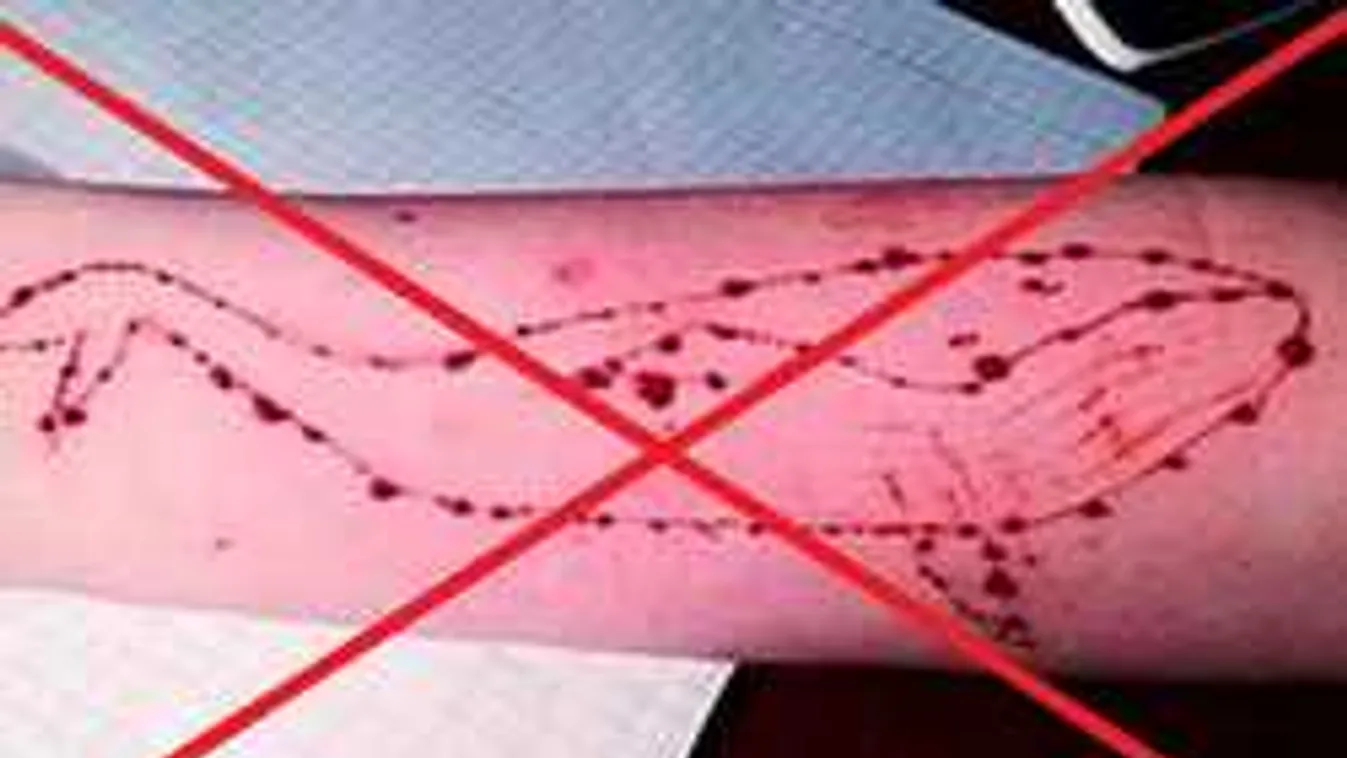 Fordulat a Kék Bálna öngyilkos áldozatainak ügyében