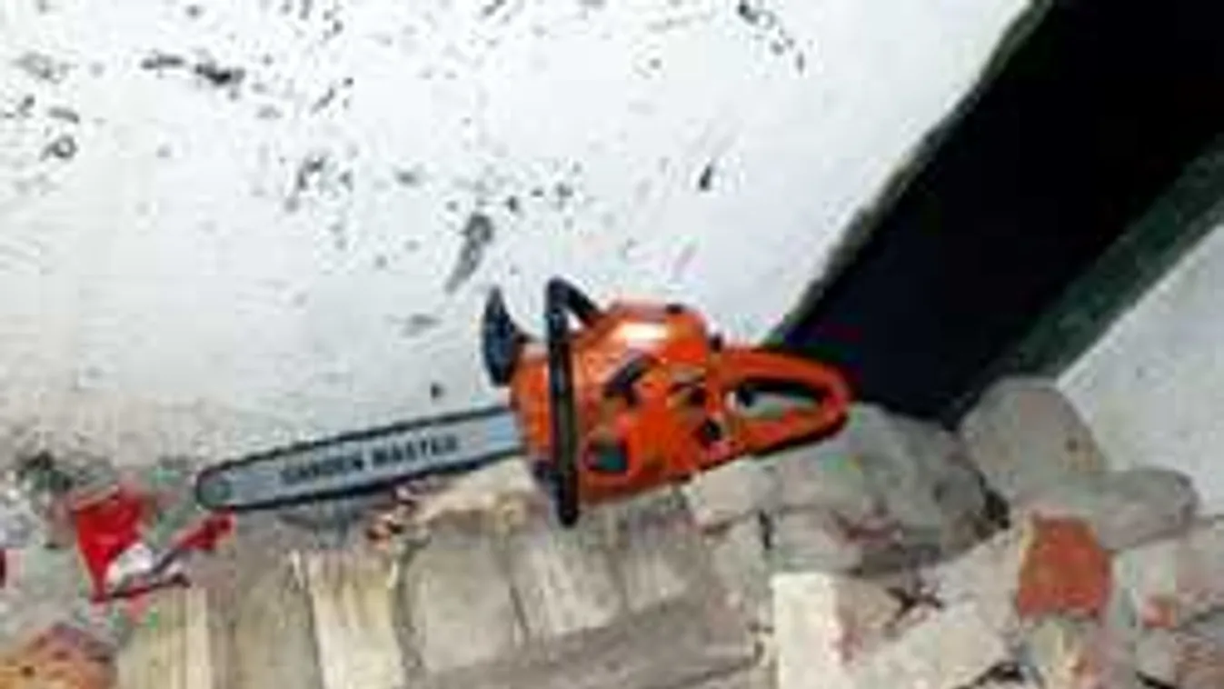 Sokkoló részletek! Láncfűrésszel kergette meg ikertestvérét