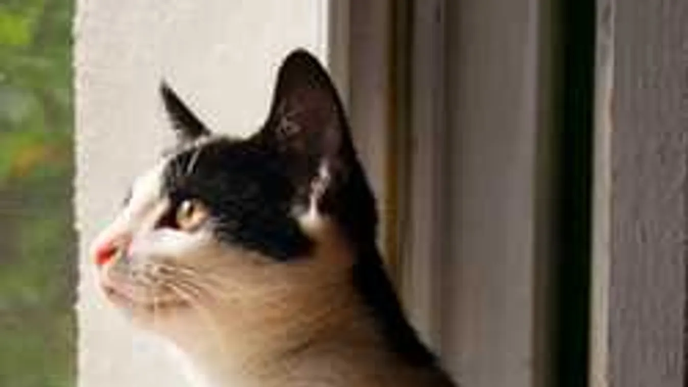 Bekeményít az időjárás: még durvább vészjelzést adtak ki, jéggel jön a vihar