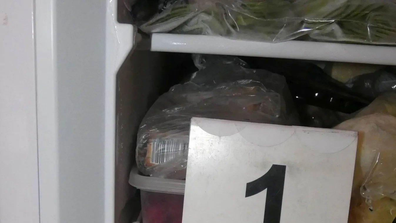 Nem fogod elhinni, mit találtak a rendőrök a salgótarjáni férfi hűtőjében – Videó