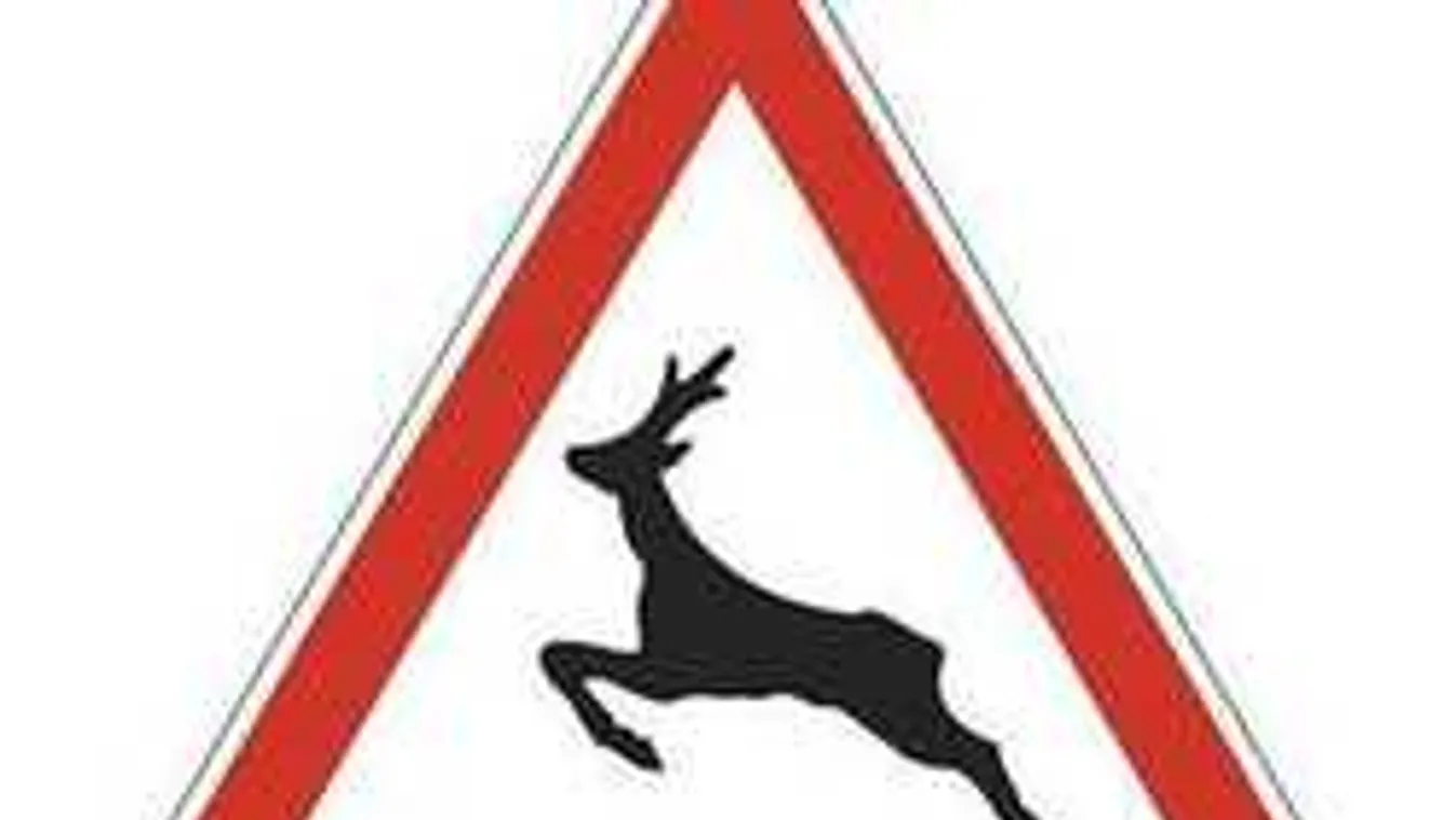 Felháborító magyarázatot talált a sofőr a cserbenhagyásra