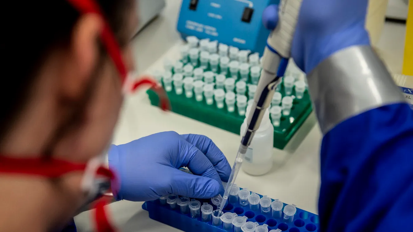 Aggasztó adatok: ezeken a helyeken nőtt a szennyvízben a koronavírus koncentrációja