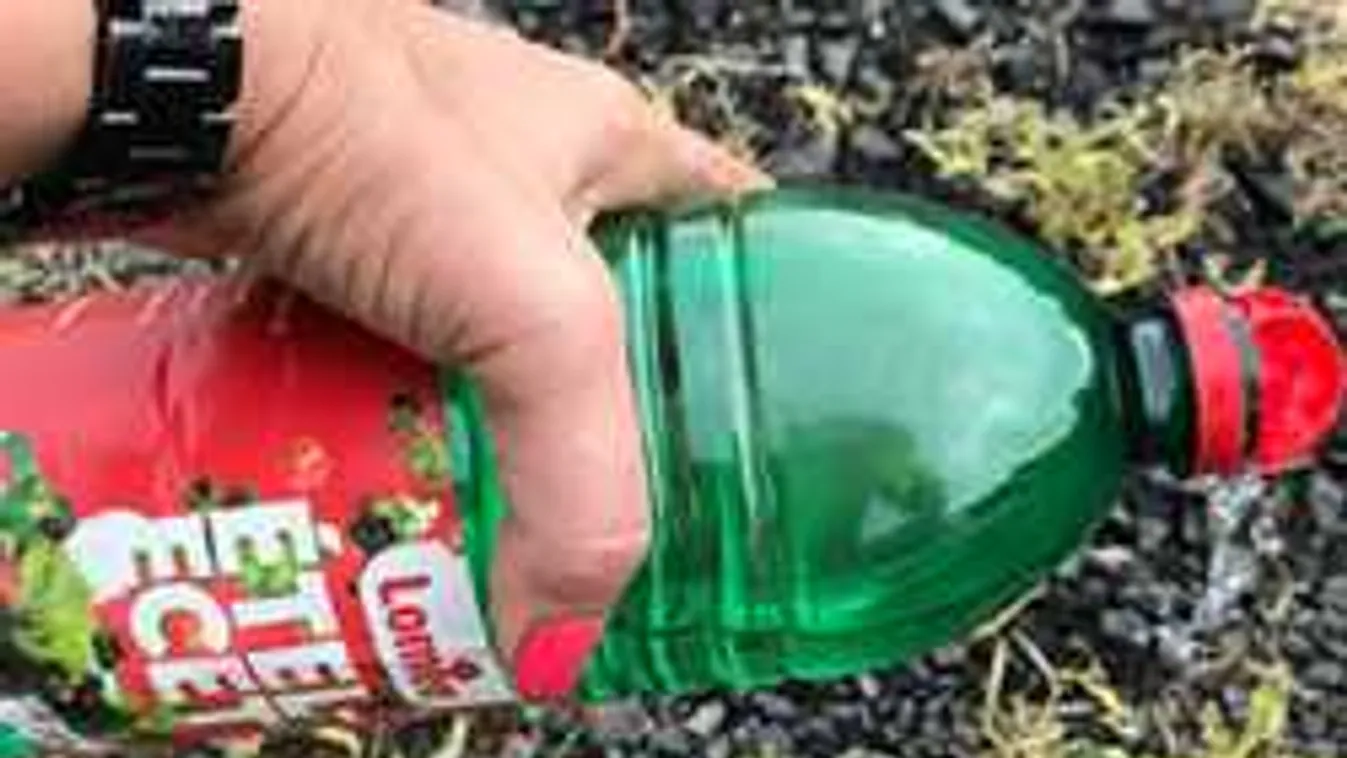 Önts ecetet a kertedbe! Elámulsz a látványos hatástól!