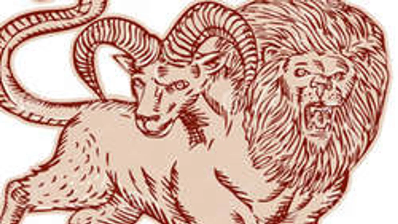 Kétarcú kiméra él az emeleti lakásban