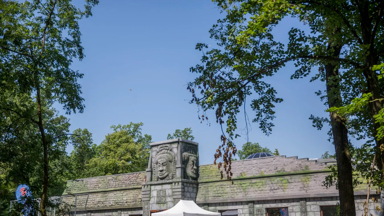 Különleges emlősállat született a Szegedi Vadasparkban – videó