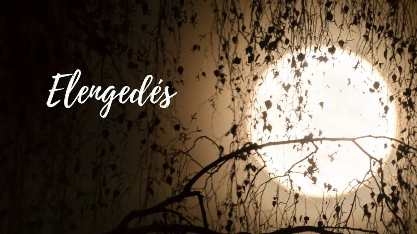 Erős energiákkal érkezik a telihold: így változik meg az életed