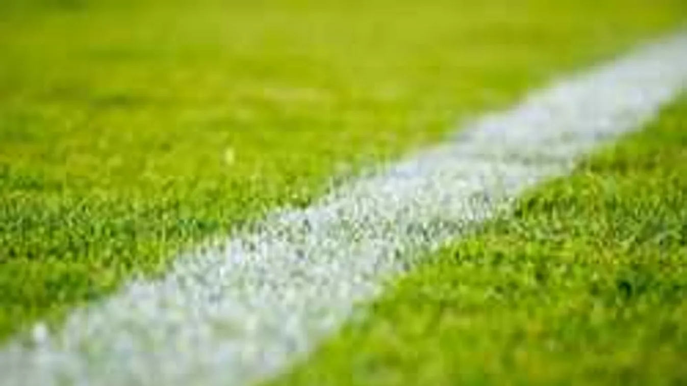 Te kinek a győzelmére fogadnál?