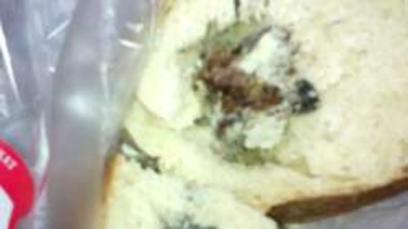 Patkány a kenyérben: elájult a nő, amikor felvágta a veknit