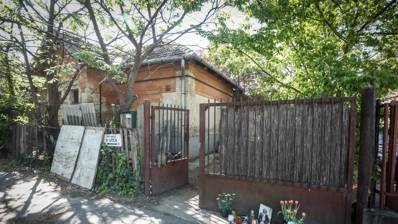 Halála előtt kiszabadulhatott volna a nyomorból Szilágyi István