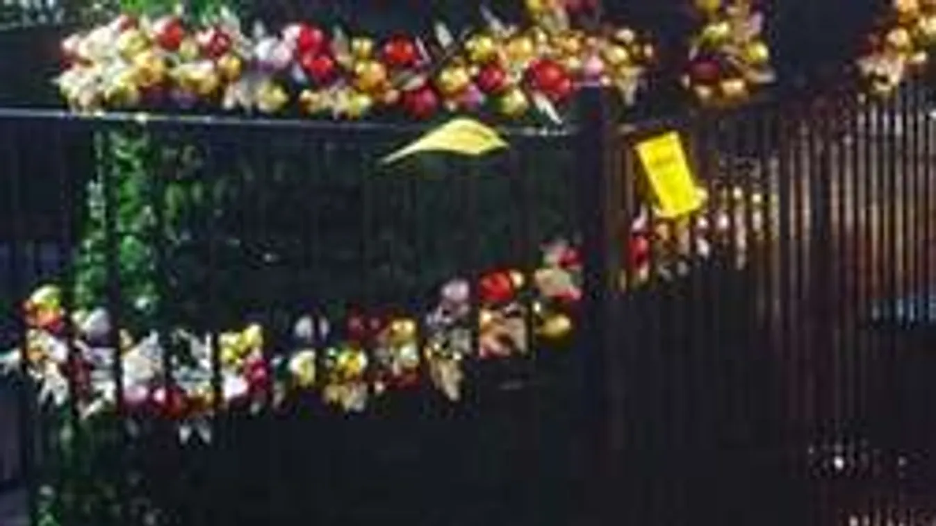 Részegen mászta meg a városi karácsonyfát