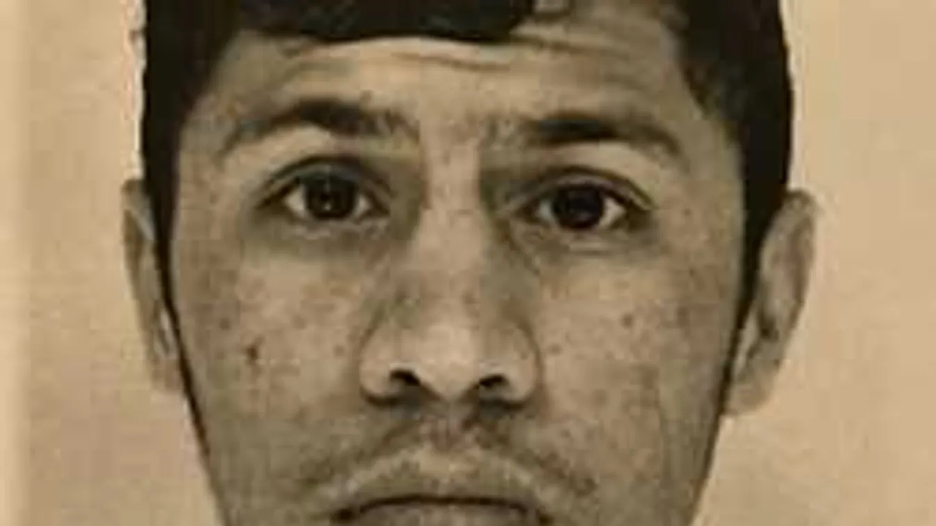 Az afgán 27 percig erőszakoskodott a mosdóban a magyar lánnyal!