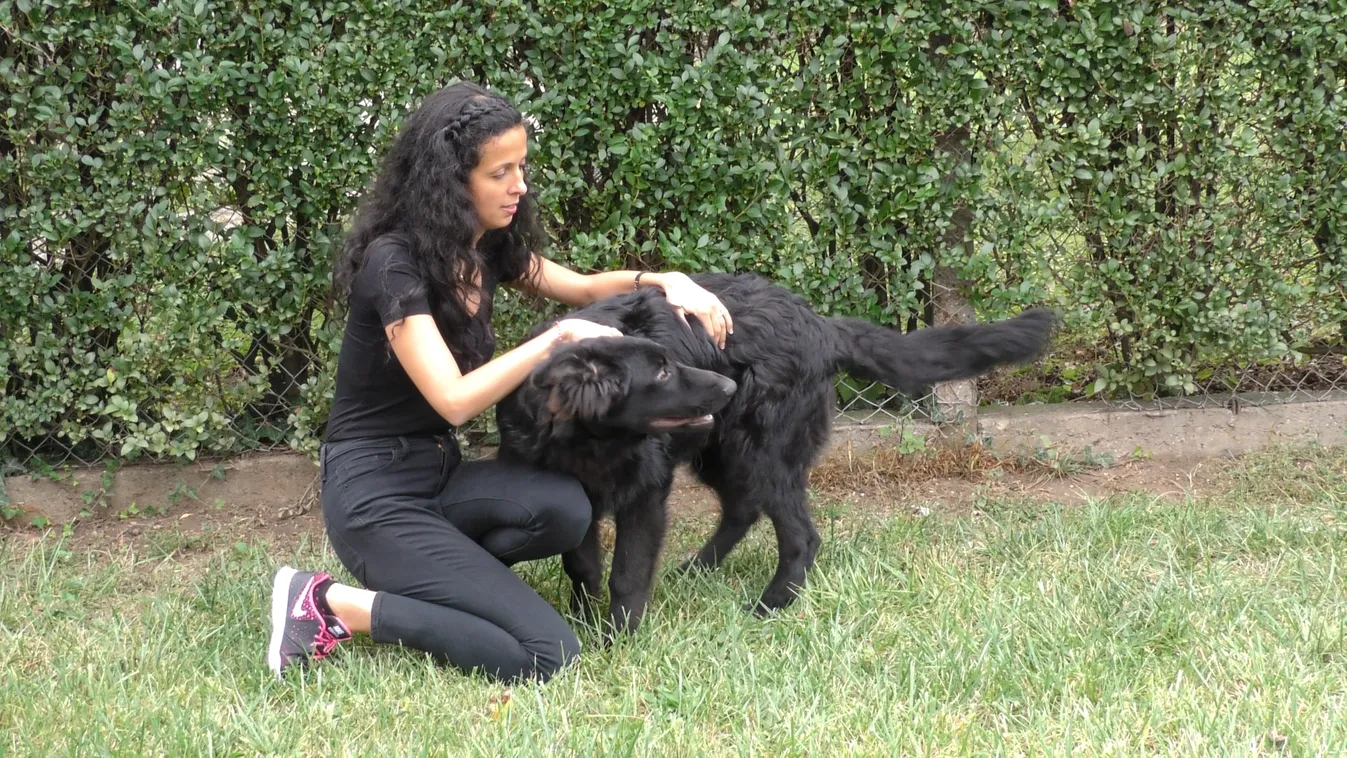 Állatvédő, fiatal nő indul az időközi választáson