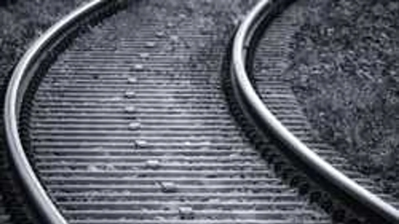 Döbbenet, hogy mit találtak a halálra gázolt férfinél