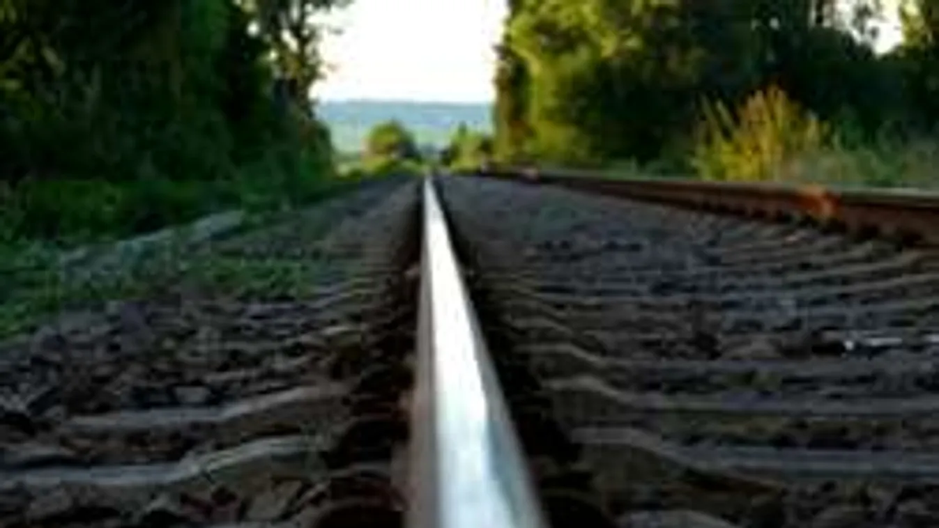 Tragikus vonatbaleset: hét gyermek vesztette életét a köd miatt