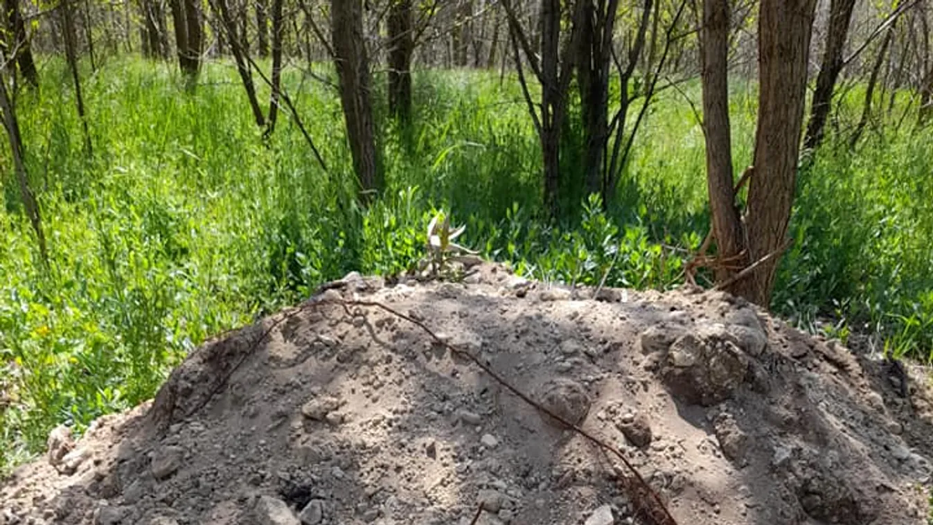 Durva, a sorompót is megkerülik az illegális szemetelők Pestszentimrén