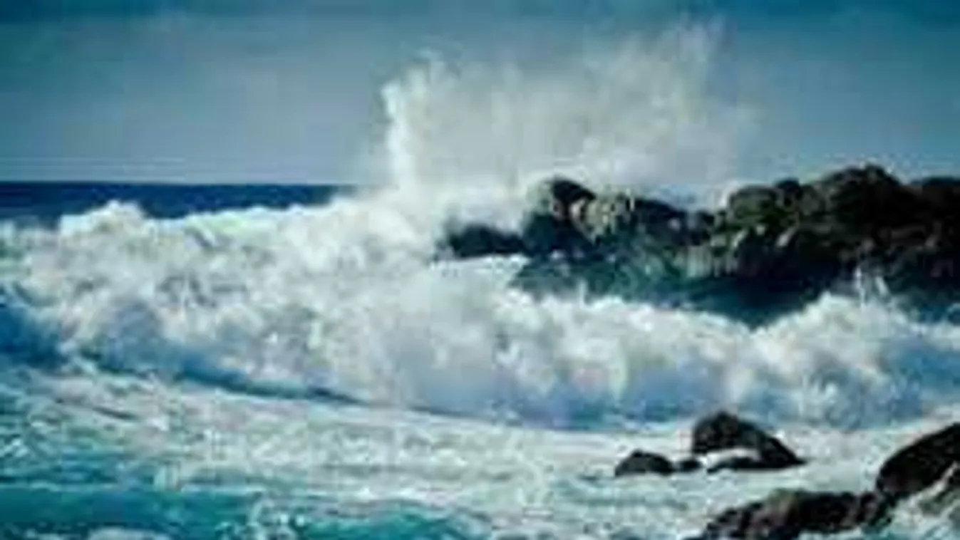 Gyerekeket akart menteni, megfulladt a világhírű filozófus