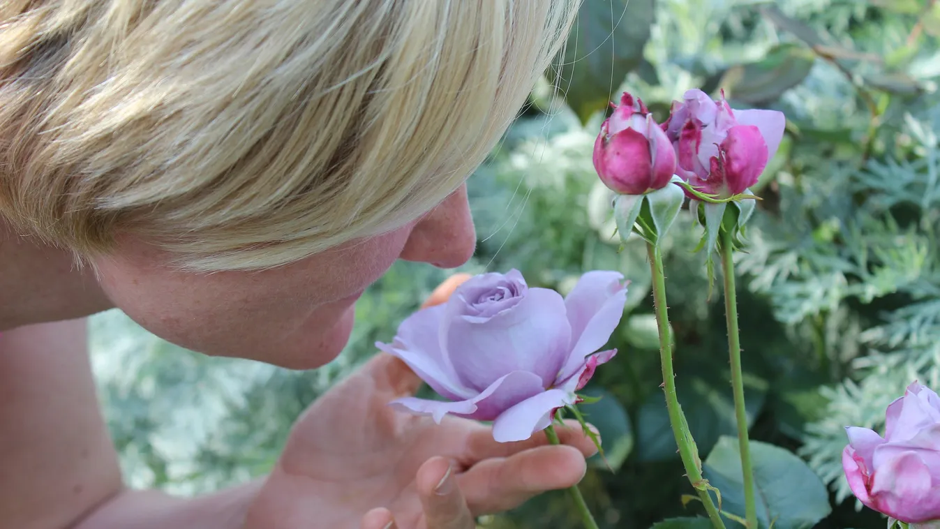 Itt a magyar háziasszonyok receptje: ez hozza vissza a szaglásod a koronavírus után!