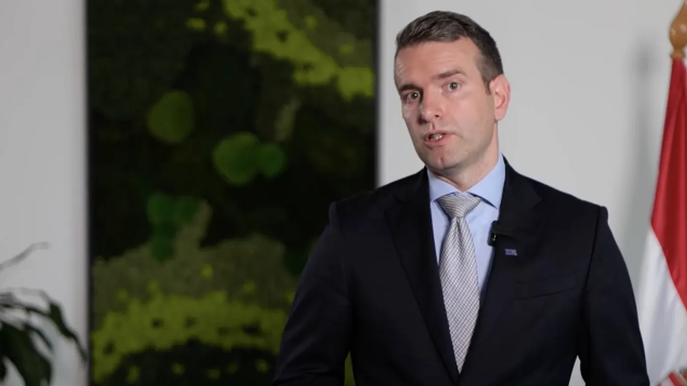 nemzeti konzultáció