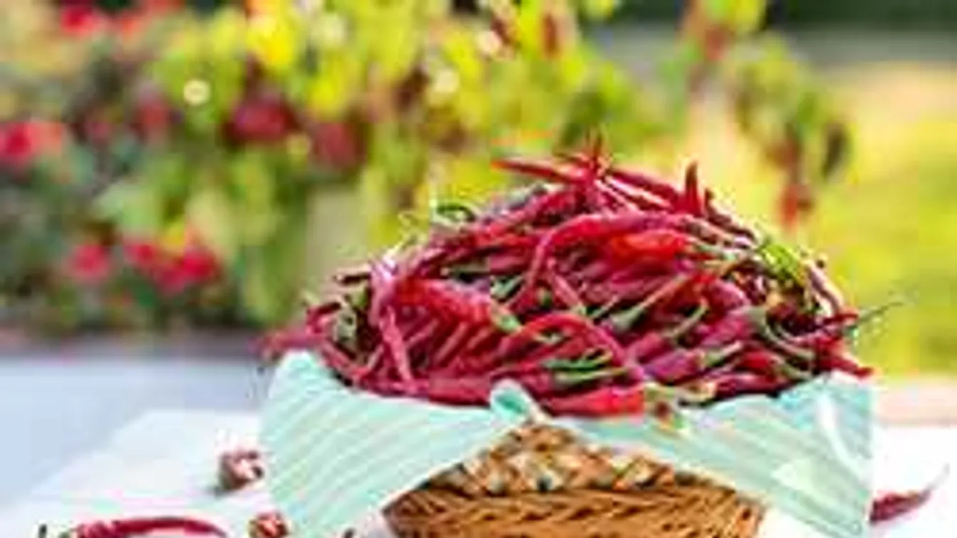 Döbbenetes, mi derült ki az erős paprikáról! Óvatosan edd!