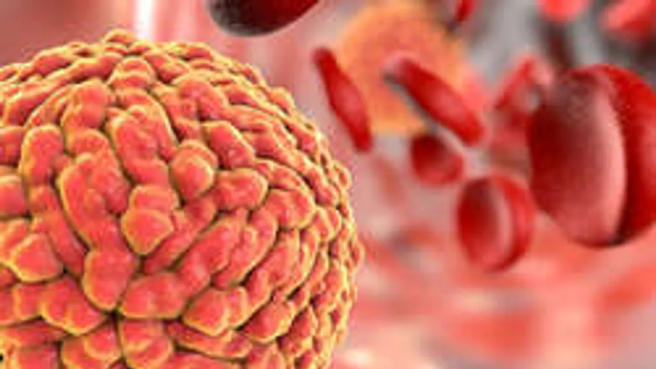 Szenzáció: meglehet a Zika-vírus ellenszere!