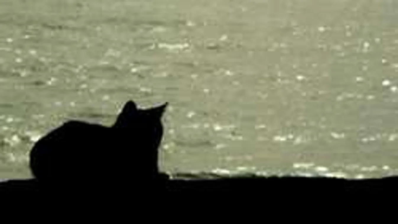 Kiadták a riasztást: közeleg a hidegfront, óriási viharokat hoz