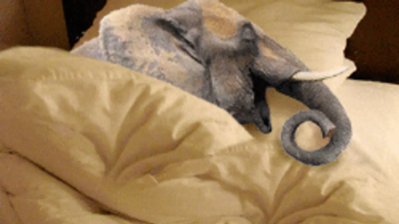 7 elképesztő tény: így  betegít a rossz férj