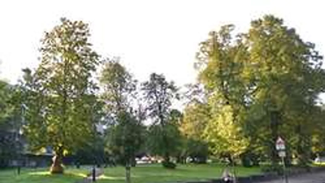 Ballagása után két nappal fulladt meg a baranyai tini