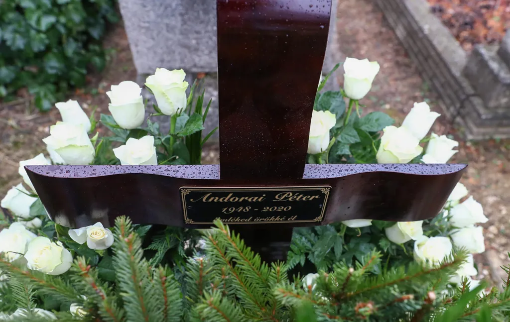 086EF945E7864FD19FD8CFB463CD8193-scaled