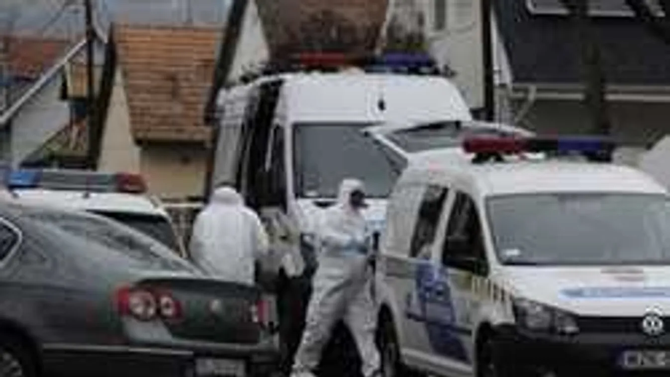 Békásmegyeri gyilkosság: A bíróság elrendelte a letartóztatást