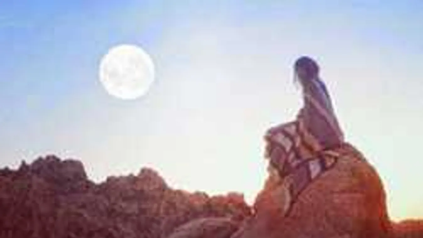 Válassz egy fát és fedezd fel személyiséged rejtett jegyeit