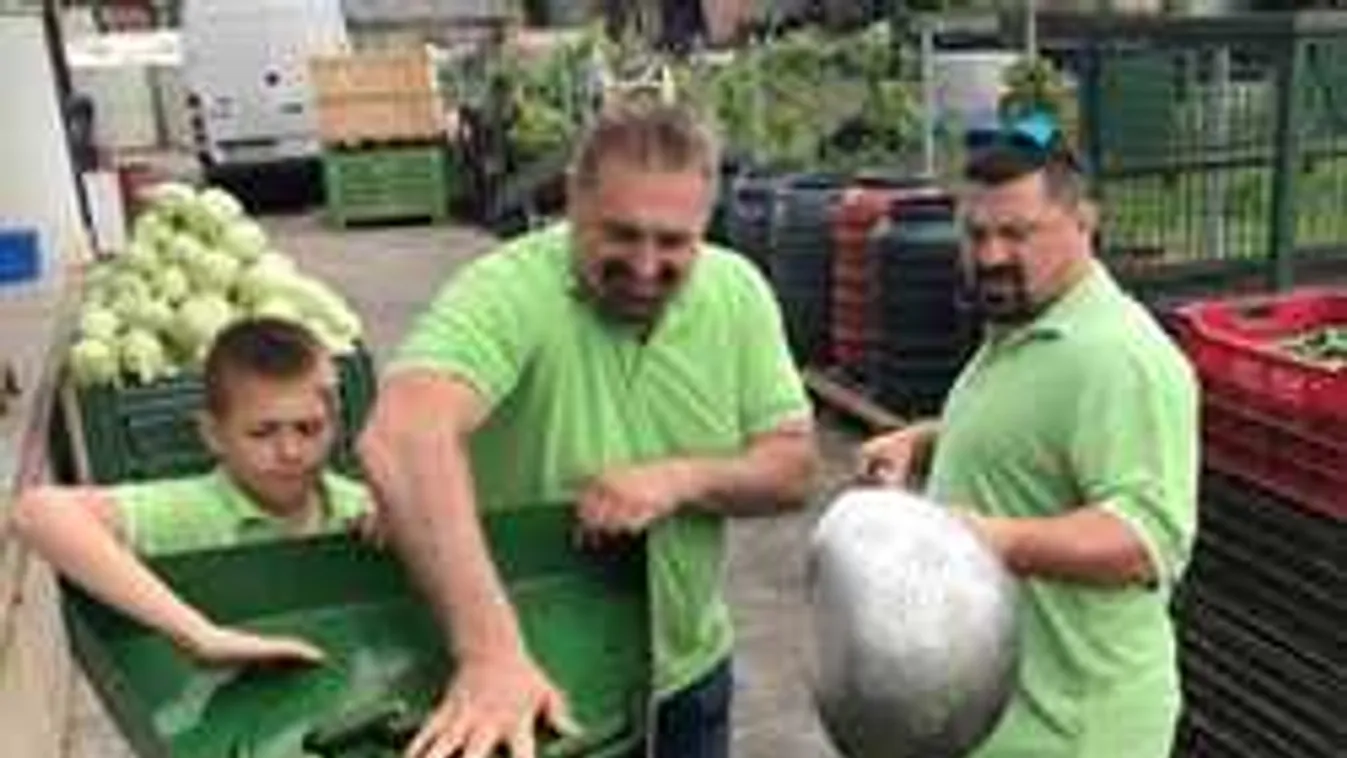 Növényi Norbert munkára fogta a kisfiát