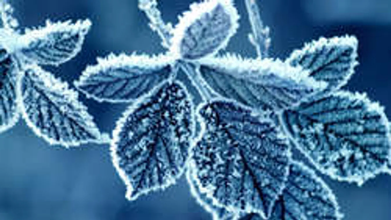 Rendkívüli időjárást ígérnek januárra! Erre senki sem számított