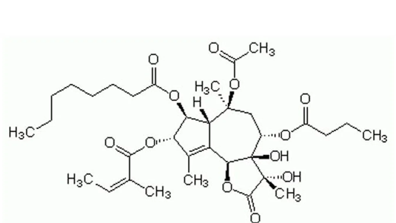 Koronavírus: ez a növényi alapú gyógyszer nagyon hatékony a Covid-19 ellen