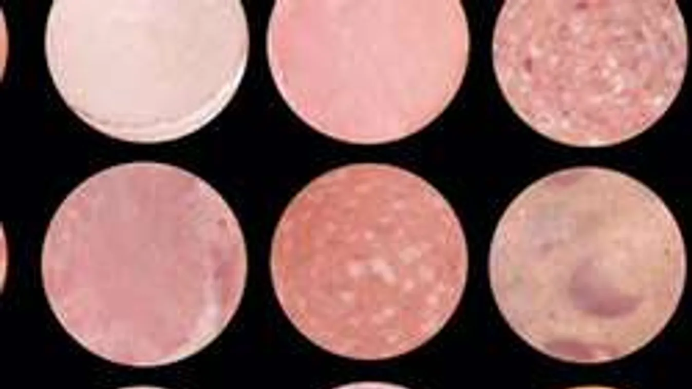 Õrült képrejtvény: Te megtalálod a Holdat a felvágottak közt?