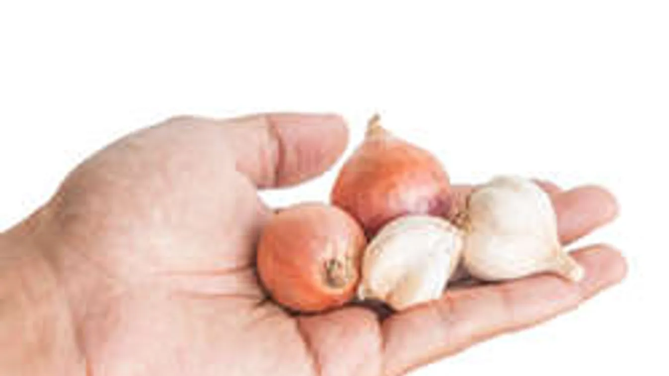 Így tüntesd el a hagyma- és fokhagymaszagot a kezedről