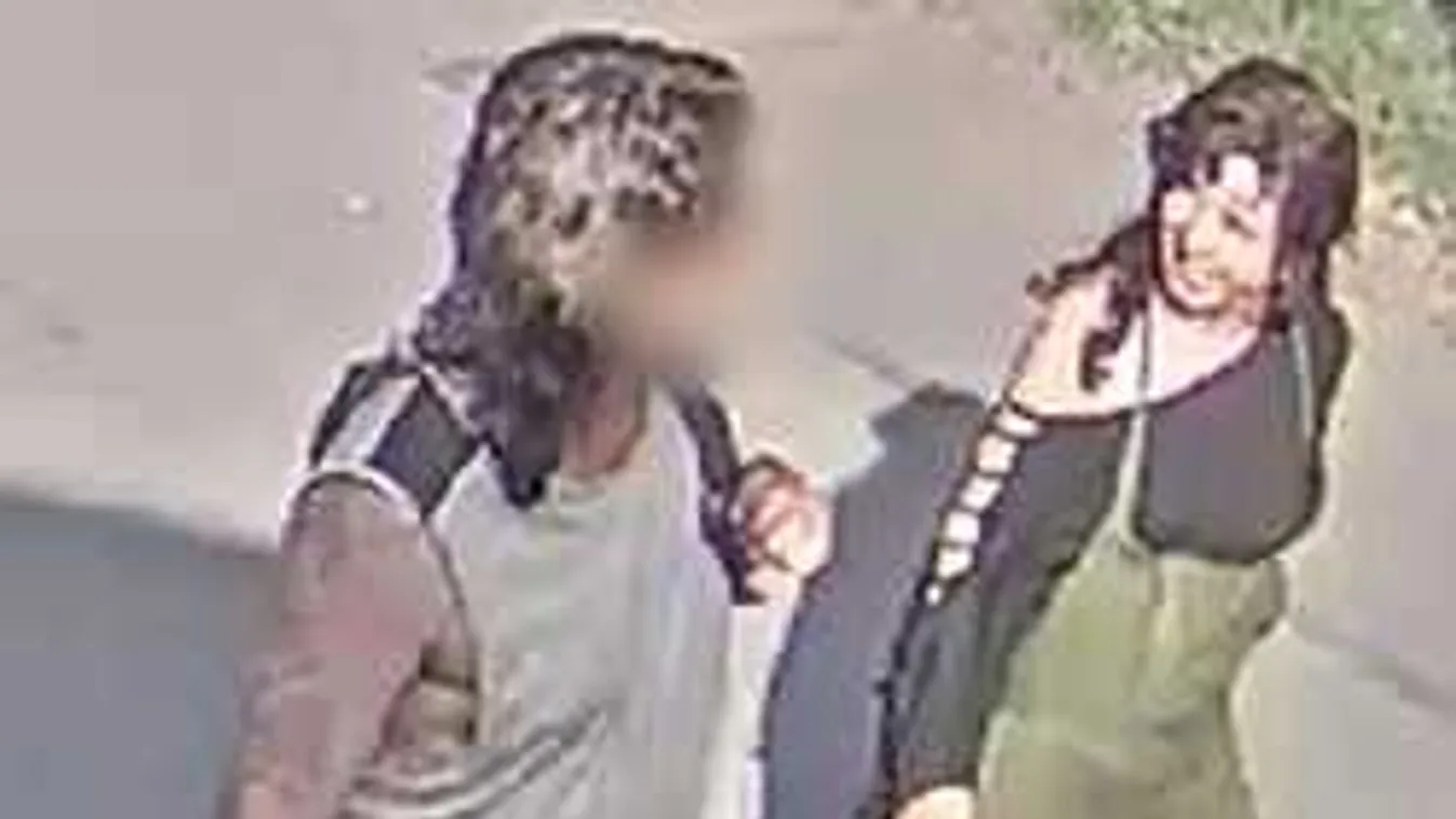 Fordulat a teknős agyonütésének ügyében, felismerték a kegyetlen nőt