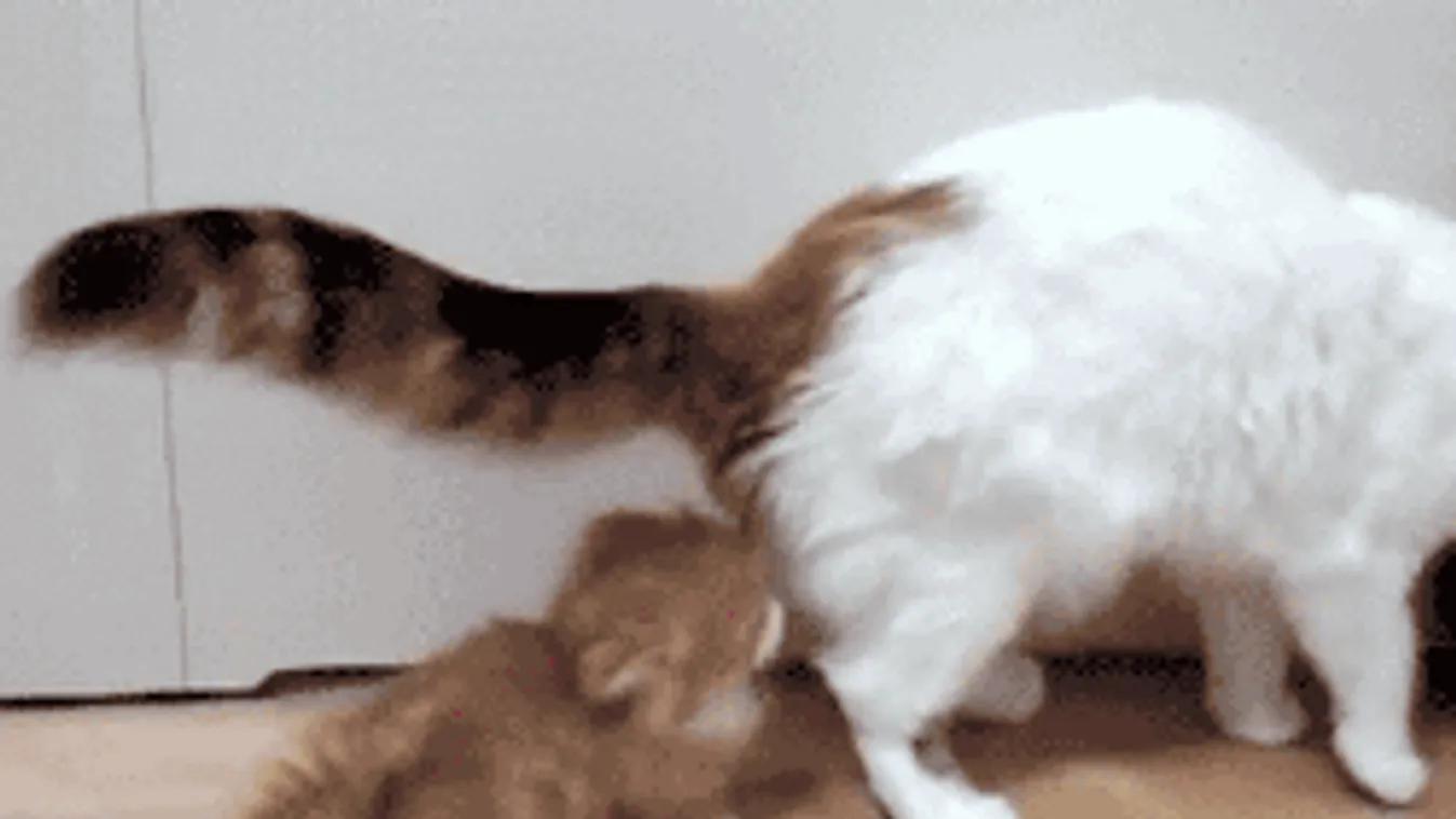 Többféle meglepetést hoz az időjárás, ezért adtak ki figyelmeztetést