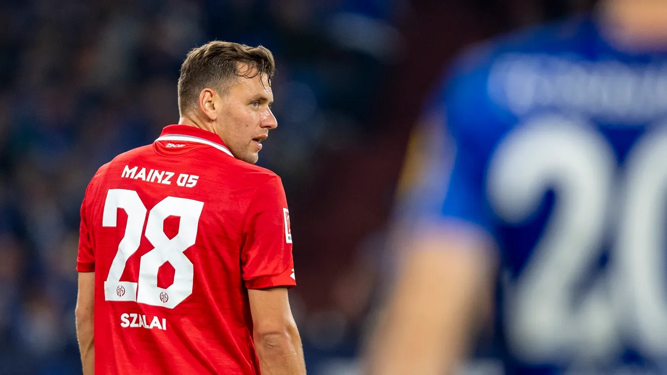FC Schalke 04 - FSV Mainz 05